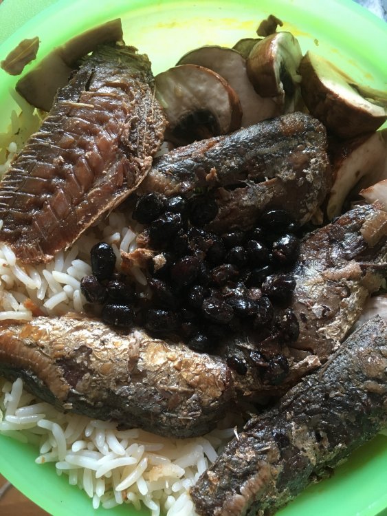lunch.thumb.jpg.45dbb58db592d7d811f256c704b1d9ea.jpg