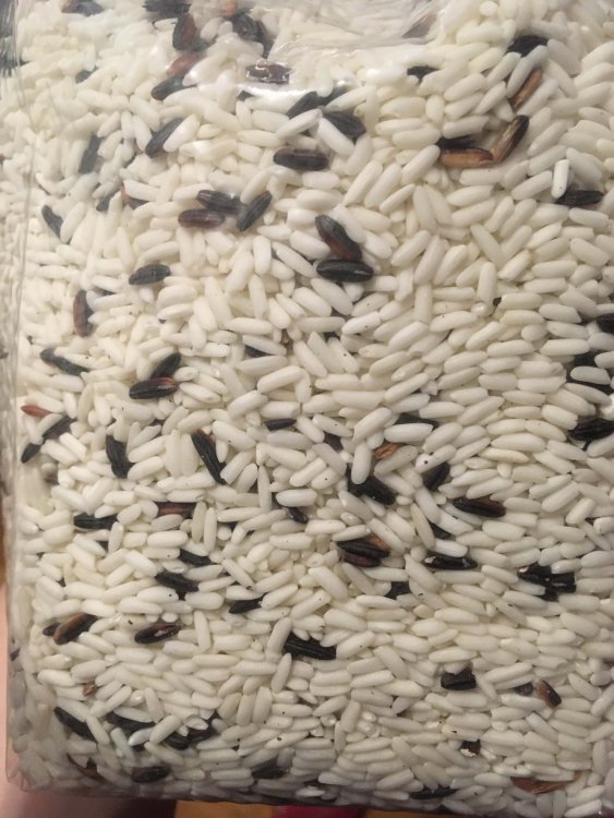rice.thumb.jpg.749594687d1ddb8f0fe1a537614d0028.jpg
