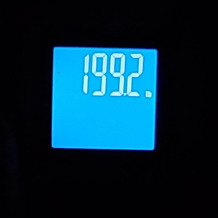 127171502_10157417616366831_5405908146523068203_o.jpg