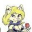 SassyTigris