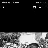 teanny31