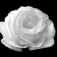 AJaymon