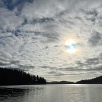 FabFatFish