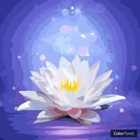 JoytoLose