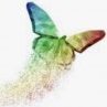 Butterflyeffect