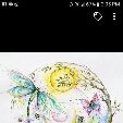 cajunflower l