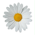 Daisy77