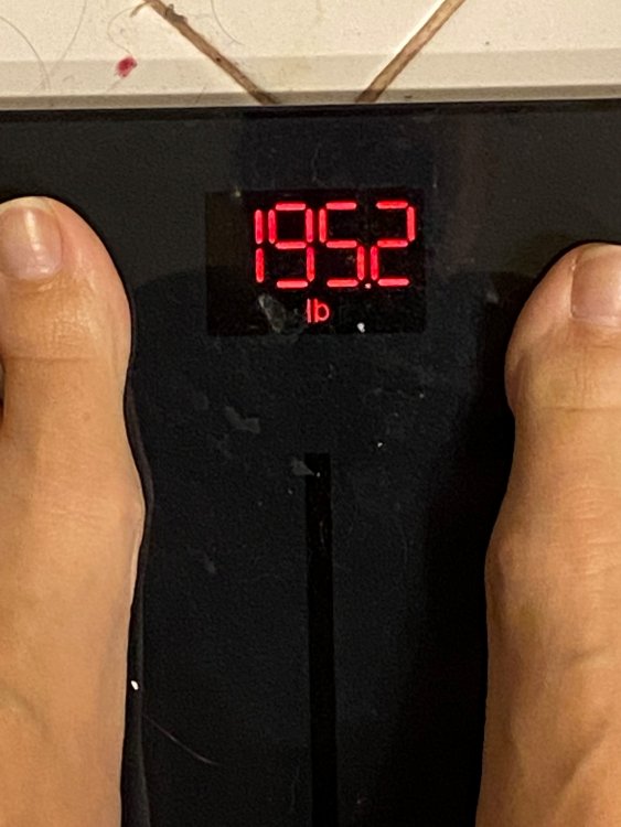 scale pic.jpg
