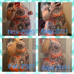 Nov 2020 - Sept 2021
