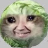Gaggi