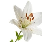 Healthyme48