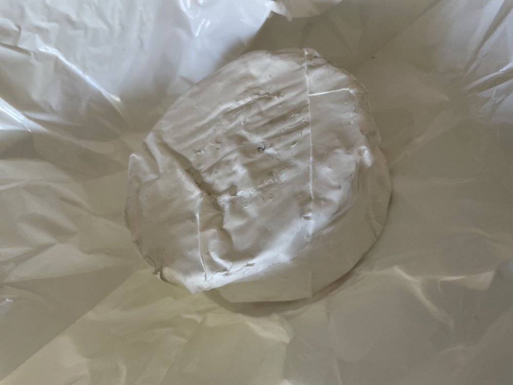 camembert.jpg