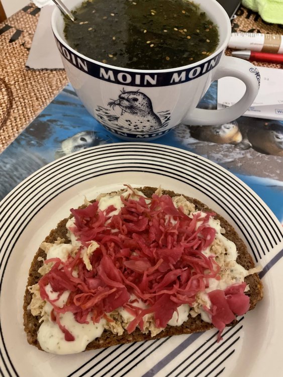 dinner.thumb.jpg.6cfcf615a0dd437a516ac9c2bb37ec40.jpg