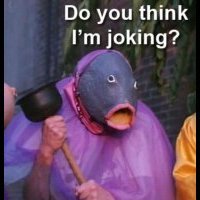 lunaticfish