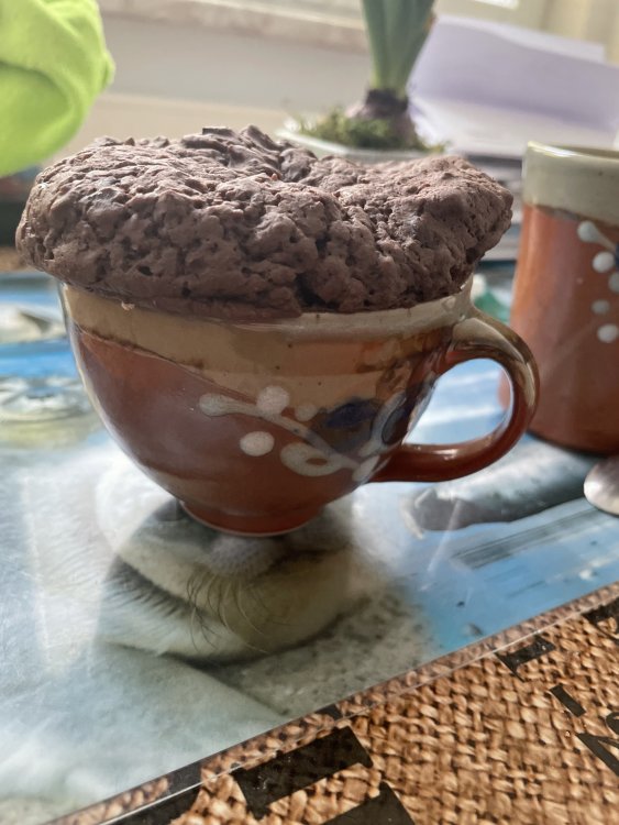 cake.thumb.jpg.5f61ff40fbf2a36d0c9955bd9da5106d.jpg
