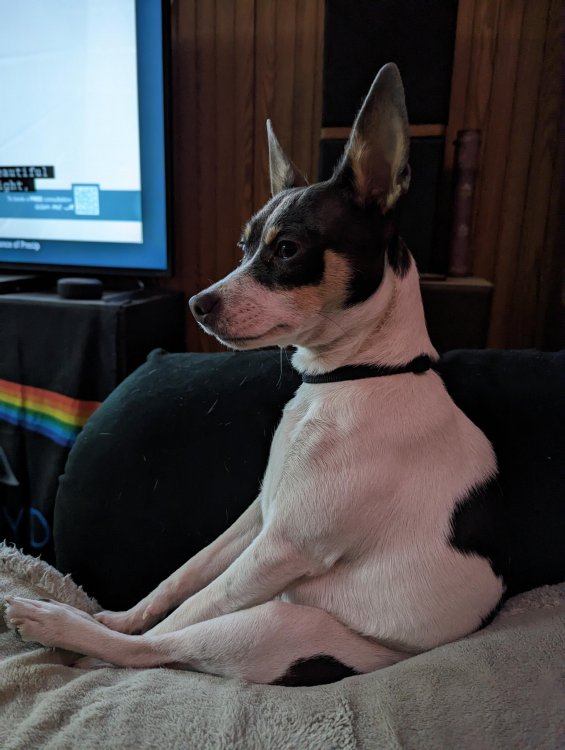 WATCHING TV.jpeg