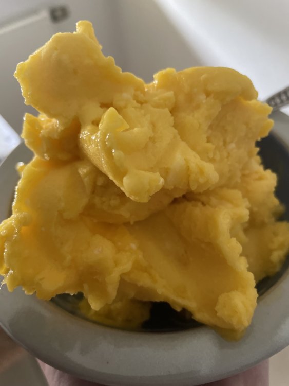 mango.thumb.jpg.2a08f6250b0e1443f753712e9a365364.jpg