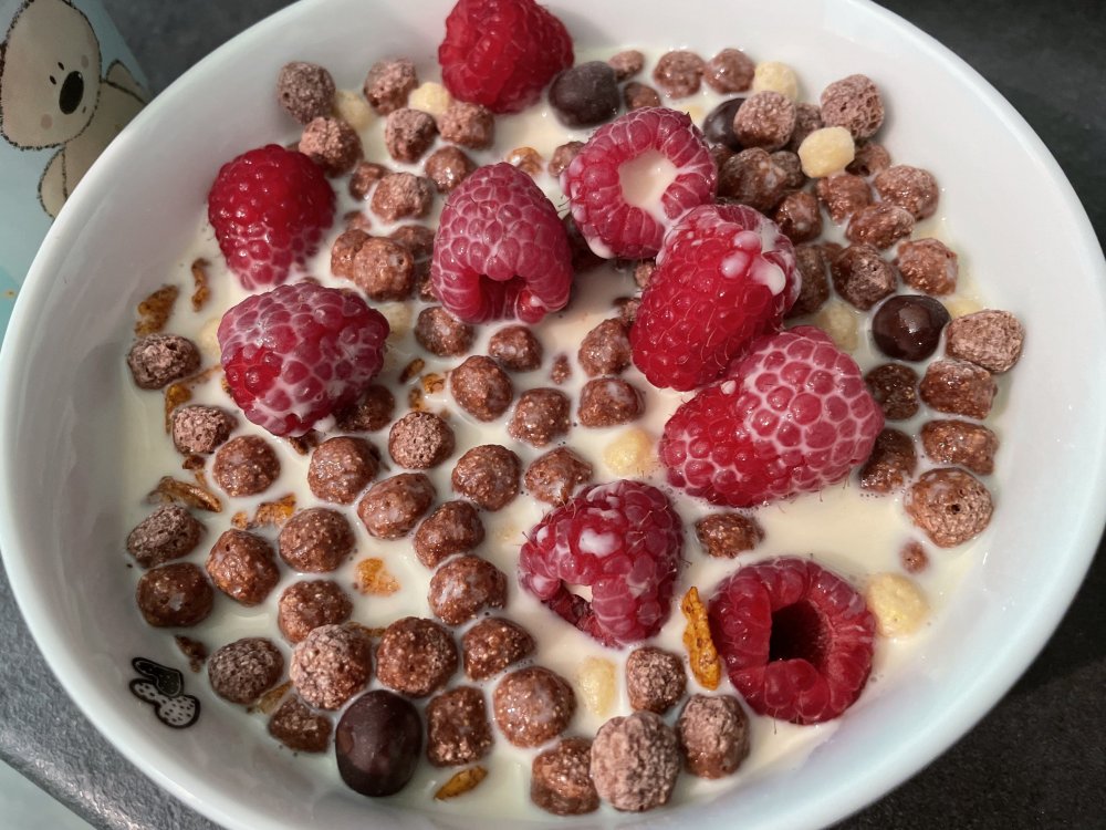 cereal.thumb.jpg.045992575faa5df15adee3fe30904aac.jpg
