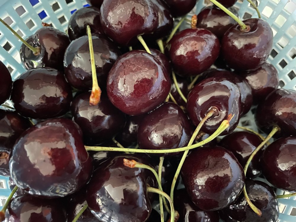 cherries.thumb.jpg.3432be52f273aa9d5c16c520654b5ba2.jpg