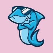 Shark340