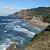 cammiller70