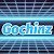Gochinz