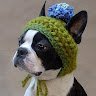 iamtheyarnchik