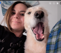 happy dog.png