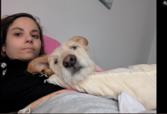 paco.png