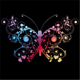 southernbutterfly