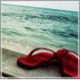 SunshineTexas