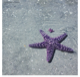 LuvStarfish
