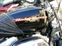 TBodmer71