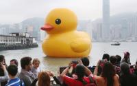 Ducklite