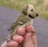 Hellokitty2131