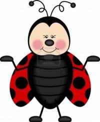 ladybug's journey