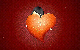 cksauve4