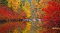 AutumnAlways
