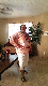 tsneed73