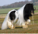 gypsygirl70