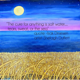 starshine13
