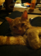 Ceedwards12