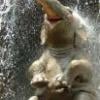 I CAN!!