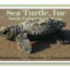 SPI Tortuga