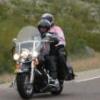 Knee2010