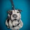 luv-a-bull