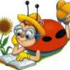 Ladybug28