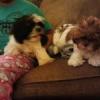 kellybelly081
