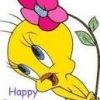 Tweety40