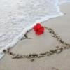 ~Sea